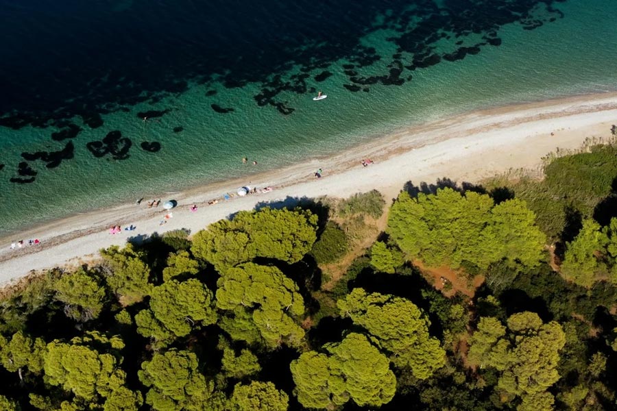 Pefkia Forest Xylokastro